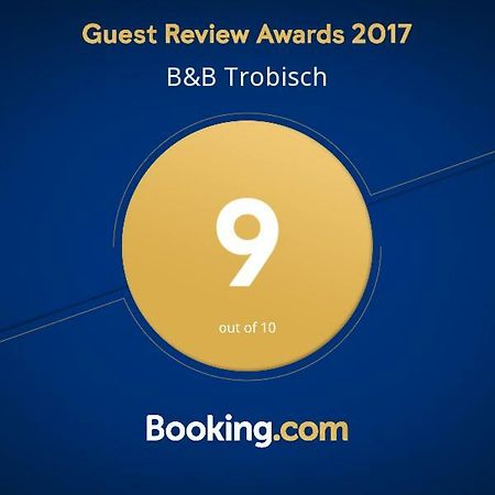 B&B Trobisch Dresden Buitenkant foto